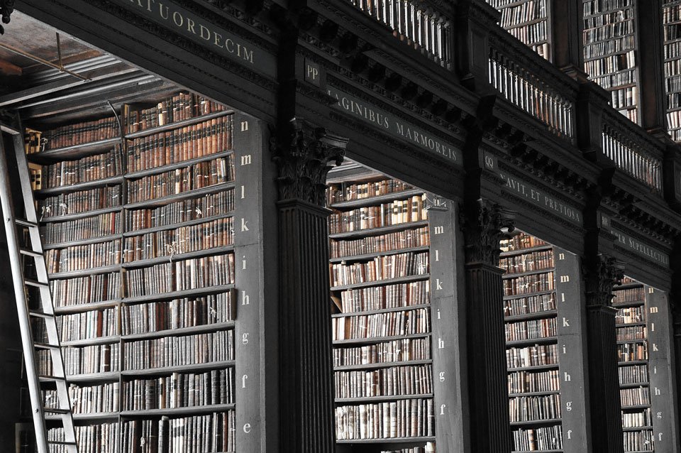 A library full of books. Each book full of pages. Each page full of words. 